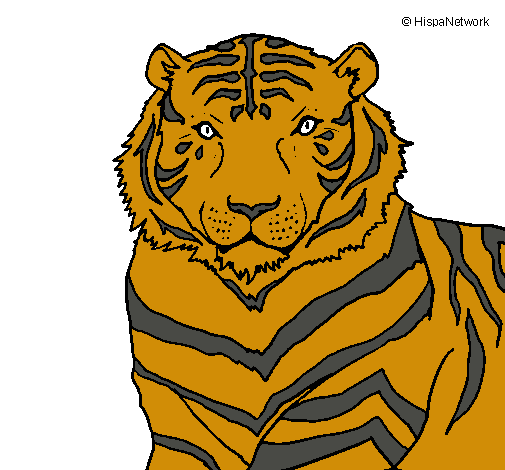 Tigre