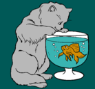 Dibujo Gato mirando al pez pintado por Clayan