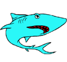 Dibujo Tiburón pintado por ale