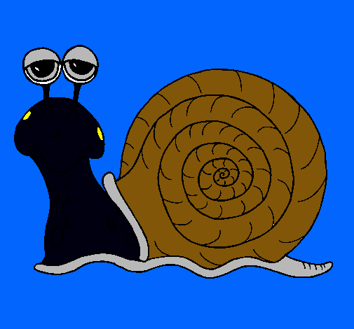 Caracol