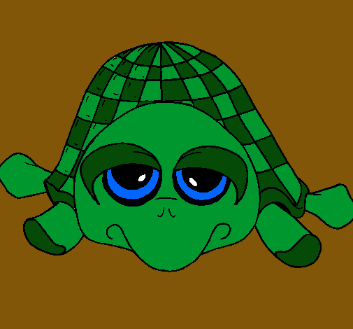 Tortuga