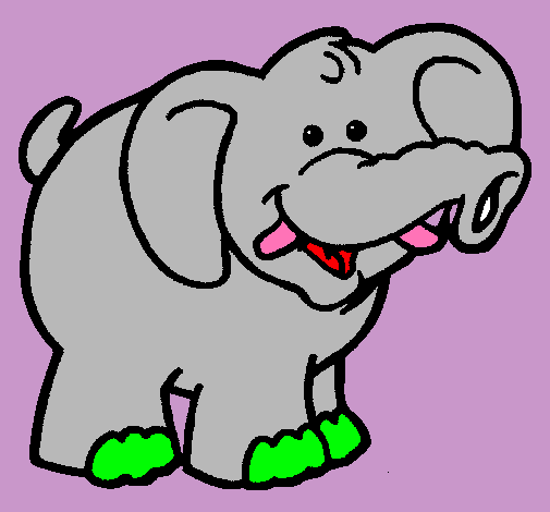 Elefante