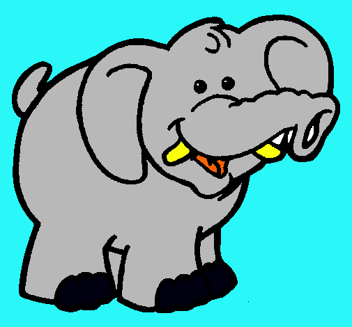 Elefante