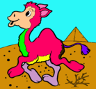 Dibujo Camello pintado por mapataamaral