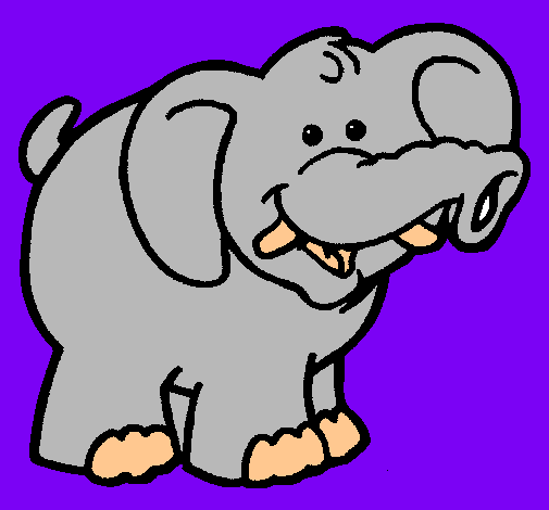 Elefante