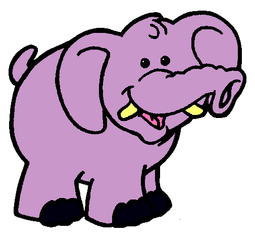 Elefante