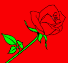 Dibujo Rosa pintado por lizeht