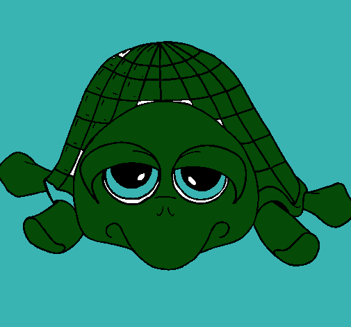 Tortuga