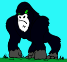 Dibujo Gorila pintado por gordo