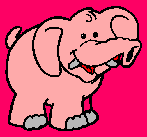 Elefante