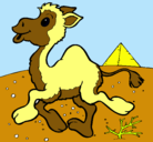 Dibujo Camello pintado por maicoldonoso