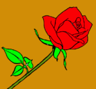 Dibujo Rosa pintado por carla