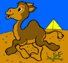 Dibujo Camello pintado por gustavo
