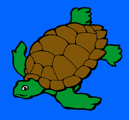 Tortuga