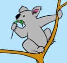 Dibujo Koala pintado por stefany