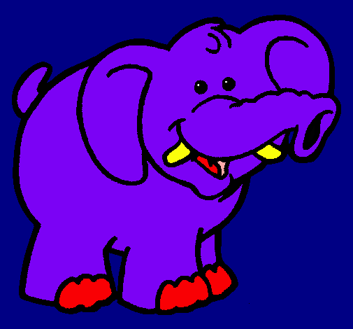 Elefante