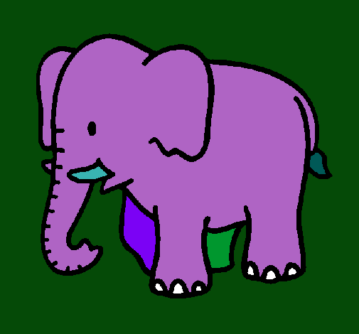 Elefante bebe