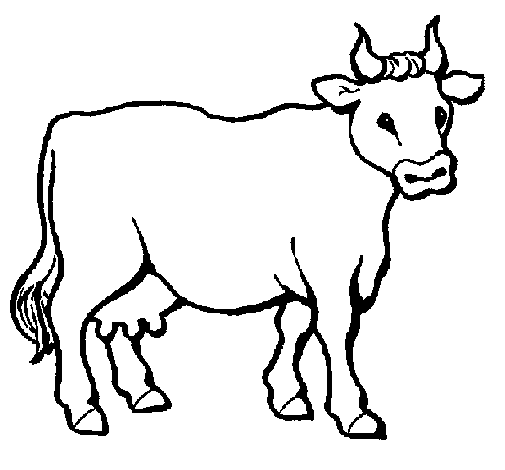 Vaca