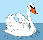Dibujo Cisne en el agua pintado por lumendi