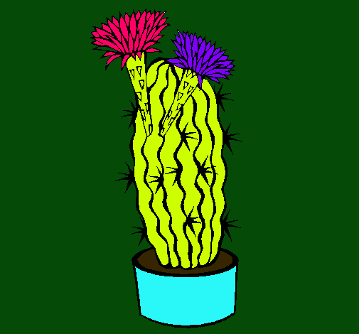 Cactus con flores