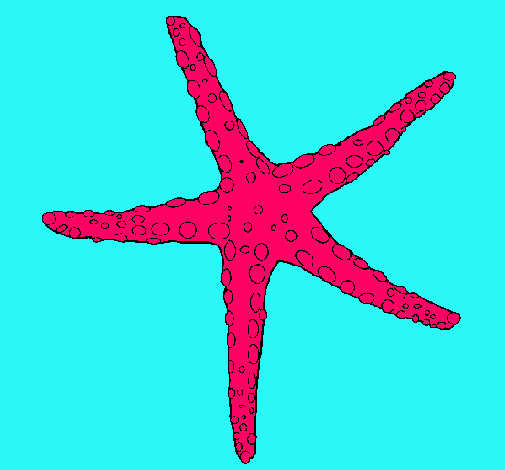 Estrellita de mar