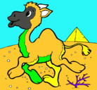 Dibujo Camello pintado por daniel