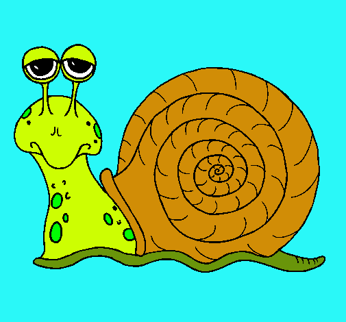 Caracol