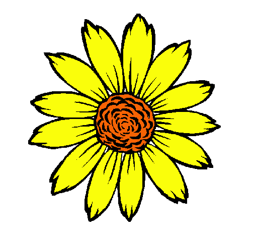 Girasol