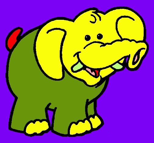 Elefante