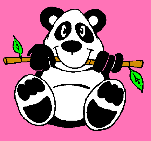 Oso panda