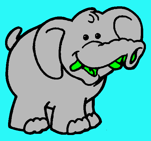 Elefante