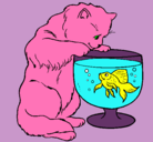 Dibujo Gato mirando al pez pintado por dianakaren