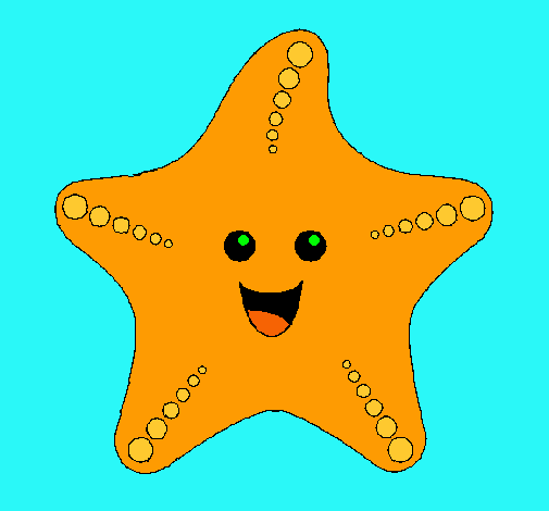 Estrella de mar