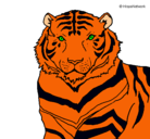 Dibujo Tigre pintado por Nicols