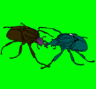 Dibujo Escarabajos pintado por picason