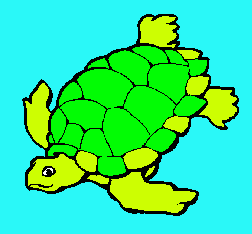 Tortuga