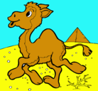 Dibujo Camello pintado por antonelladedivinas