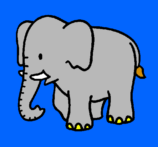 Elefante bebe