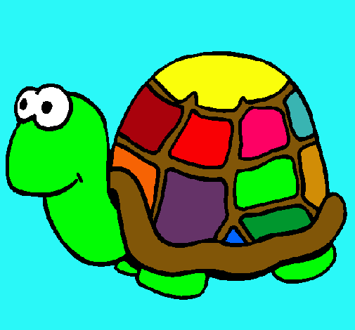 Tortuga