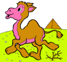 Dibujo Camello pintado por leonardo