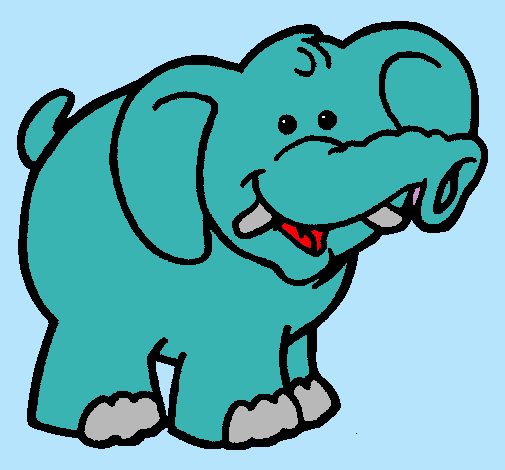 Elefante