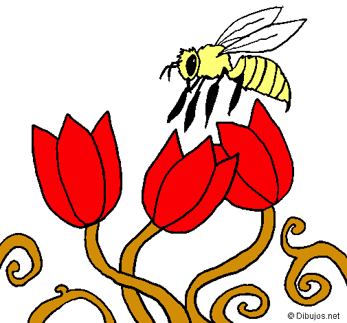 Abeja