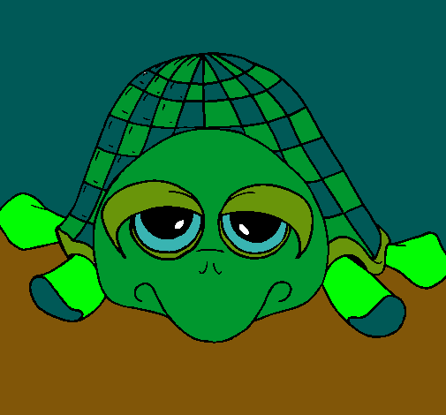 Tortuga