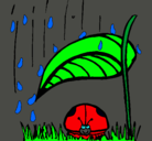 Dibujo Mariquita protegida de la lluvia pintado por Emmanuea