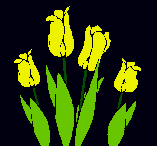 Tulipanes