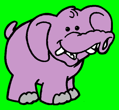 Elefante