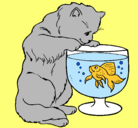Dibujo Gato mirando al pez pintado por milagros