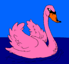 Dibujo Cisne en el agua pintado por amandagonzalez