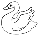 Dibujo Cisne pintado por shirley