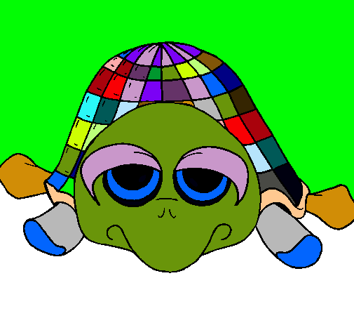 Tortuga